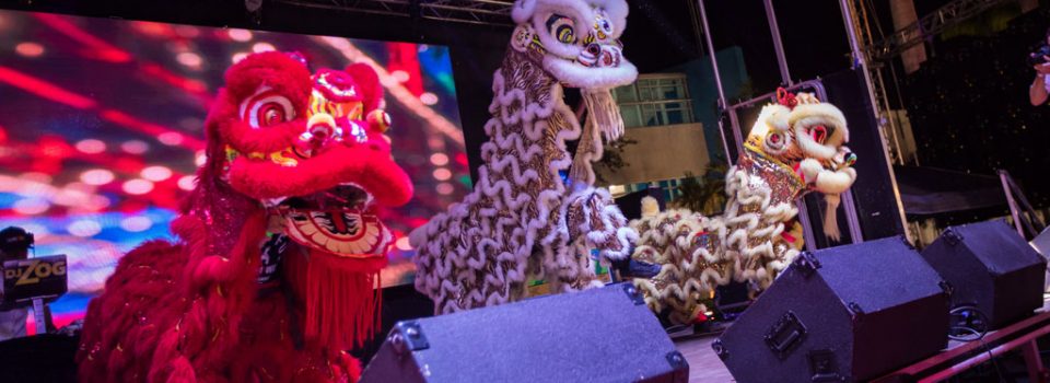 Chinese Lion Dance